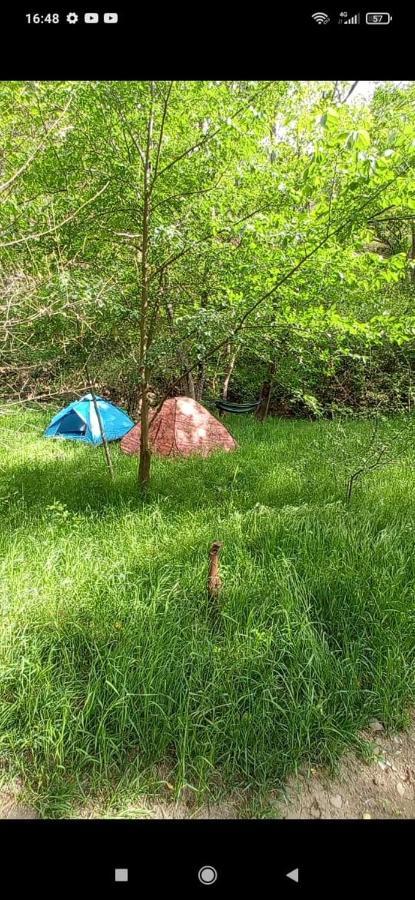 Arman Bed And Breakfast Halidzor エクステリア 写真